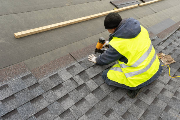 Professional Roofing Contractor in Lake Magdalene, FL