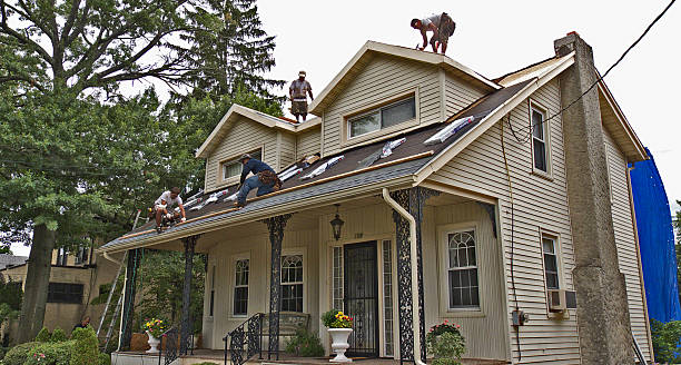 Roof Gutter Cleaning in Lake Magdalene, FL