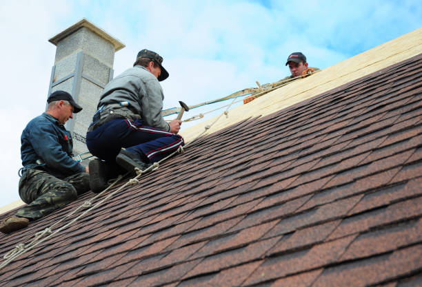 Best Roof Gutter Cleaning  in Lake Magdalene, FL